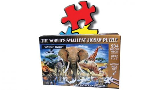 World’s Smallest Puzzle
