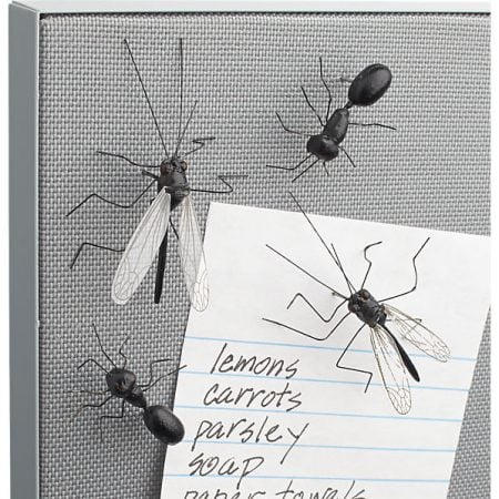 Insect Pushpins