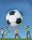 Giant 6 Foot Soccer Ball