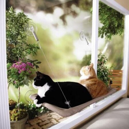 Window Mounted Cat Bed