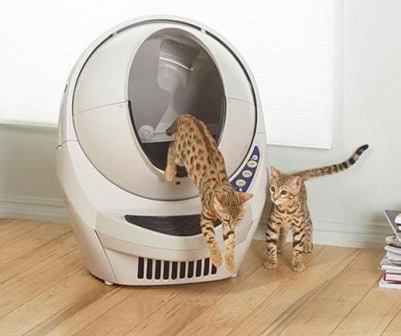 Self Cleaning Litter Box