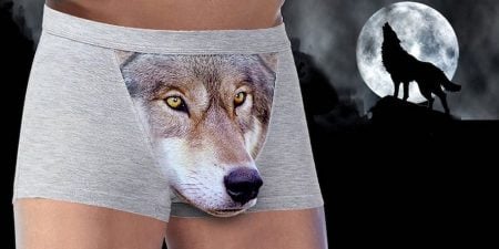 3D Wolf Boxer Briefs