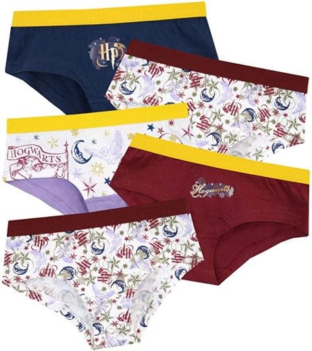 Harry Potter 5-pack House Panties