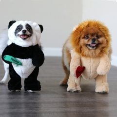 Panda Costume for Dogs