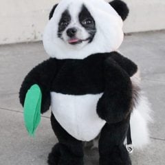 Panda Costume for Dogs