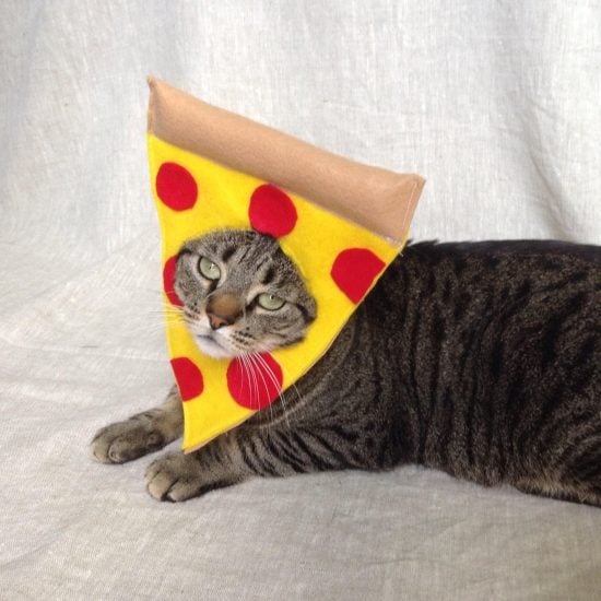 Pepperoni Pizza Costume for Cats