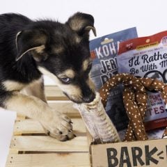 BarkBox: Monthly Dog Toys & Treats