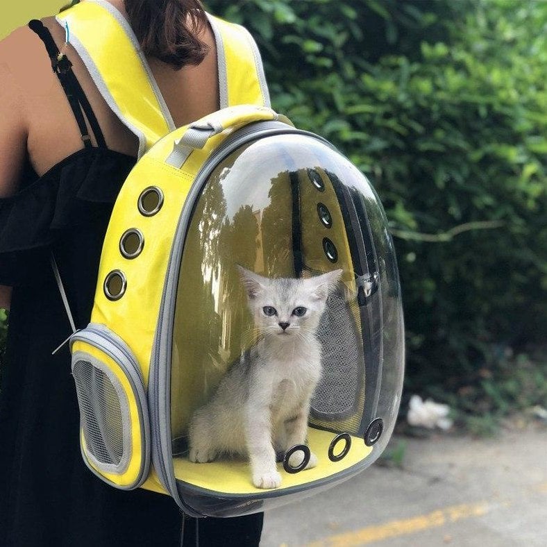 clear cat backpack