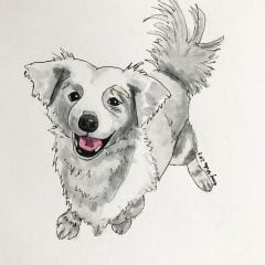 Personalized Pet Portrait Watercolor