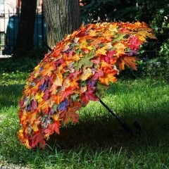Foliage Umbrella