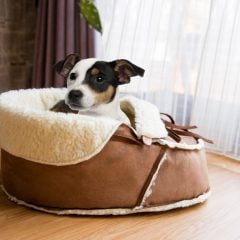 Sherpa Moccasin Pet Bed