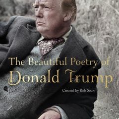 The Beautiful Poetry Of Donald Trump Book