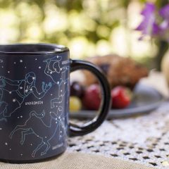Heat Changing Constellation Mug