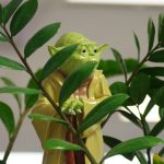 Yoda Gifts