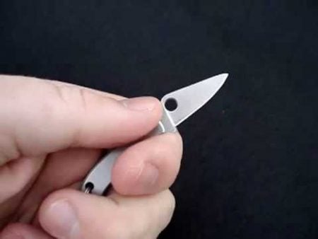 Spyderco Bug: Mini Knife