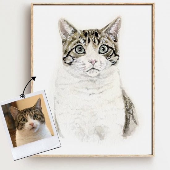 Personalized Cat Portrait