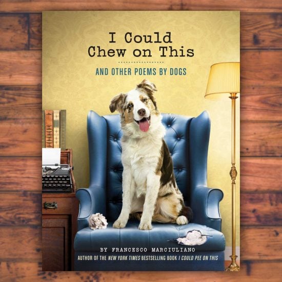 Dog Poetry Book