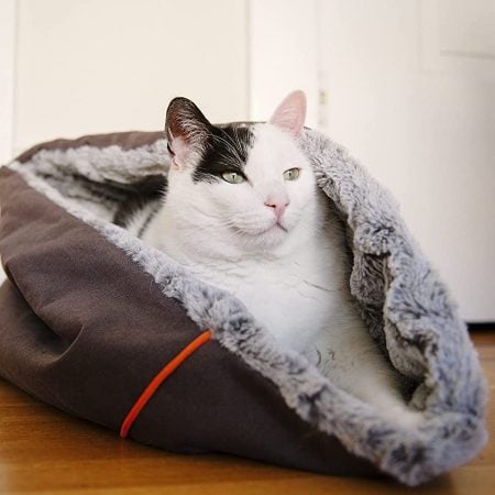 Snuggle Pet Bed