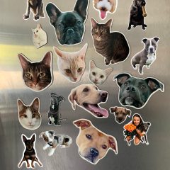 Personalized Pet Magnets