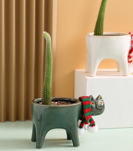 Cat hat cactus Cat lover gift Pet accessories