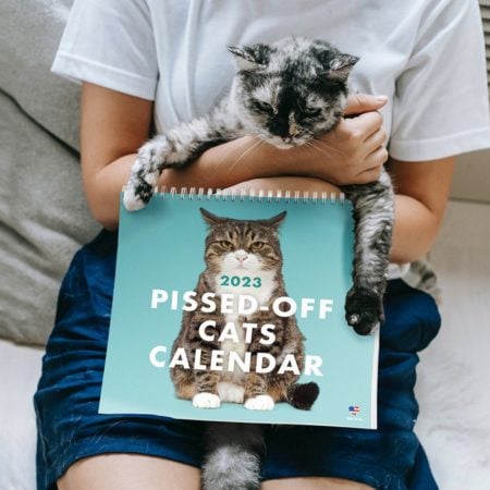 Pissed Off Cats Calendar