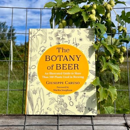 The Botany Of Beer