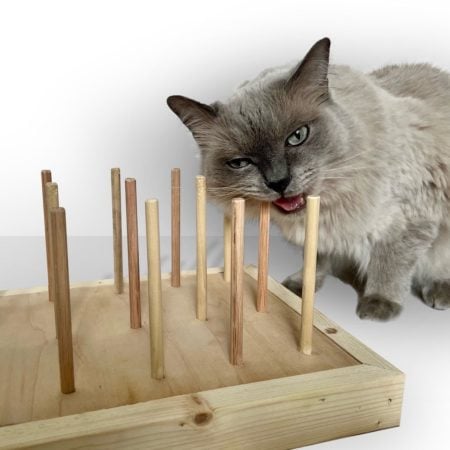 BiteyBox Cat Chew Toy