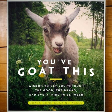 You’ve Goat This