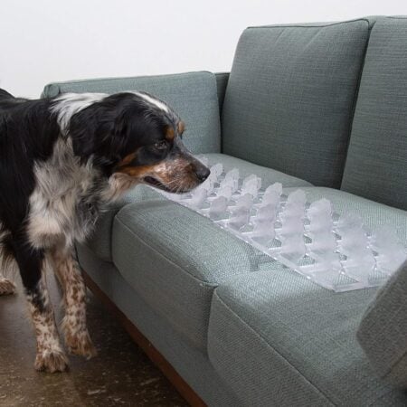 Pet Couch Guard