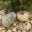 Real Rock Key Hider