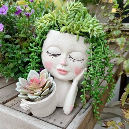 Double Head Face Plant Pot