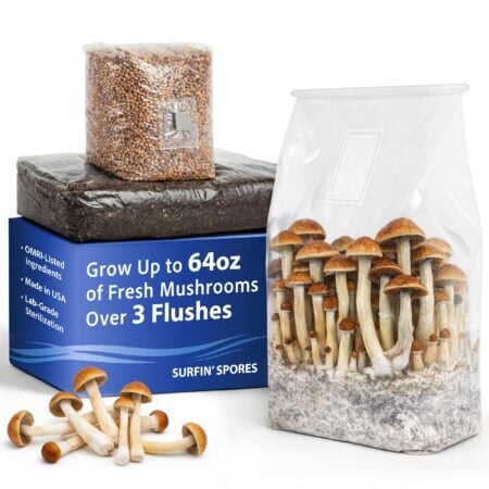 All-in-One Mushroom Grow Kit