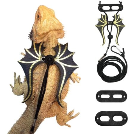Bearded Dragon Dinosaur Wing Leash