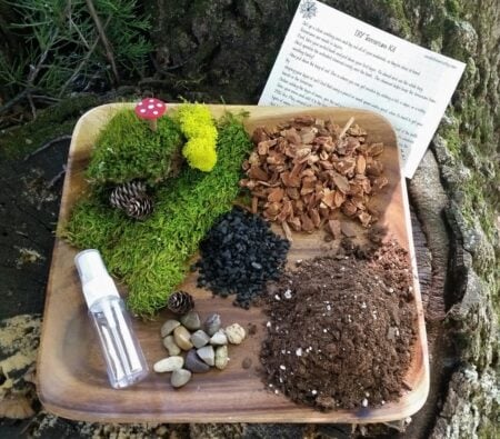 DIY Terrarium Starter Kit