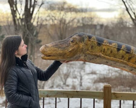 Giant Diplodocus Head and Neck