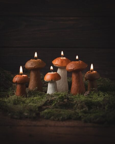 Beeswax Mushroom Candles